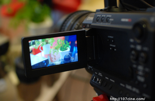 来，一起近距离摸摸F3