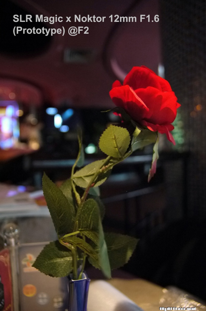 Noktor M4/3 12mm f/1.6镜头测试