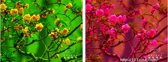 DaVinci（达芬奇）后期调色系统