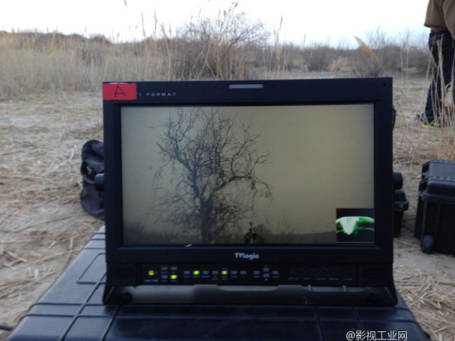 TV Logic 监视器